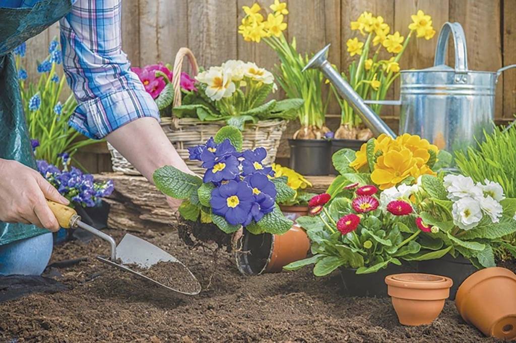 Time to take stock of the Okanagan gardening season